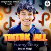 About Tiktok All Funny Song Song